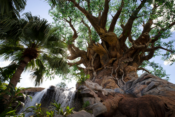 Disney's-Animal-Kingdom